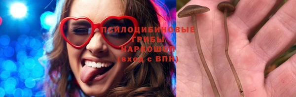 бошки Беломорск